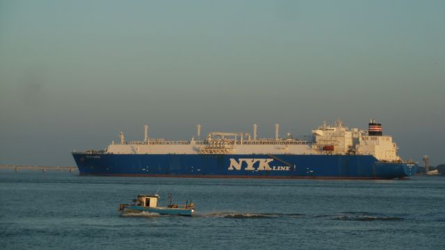 Grace Cosmos - Estuaire - 28 octobre 2014 (8).JPG